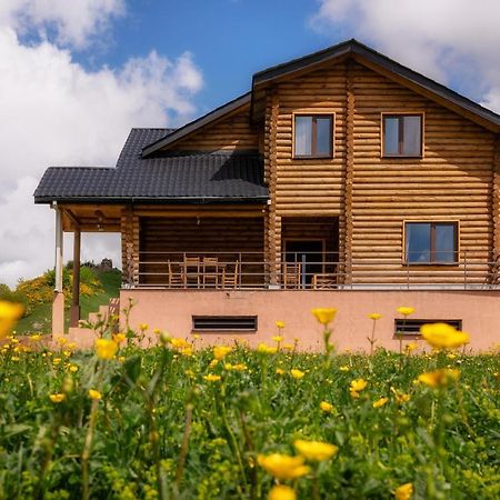 Snow Time Eco Chalet Gudauri Exterior photo