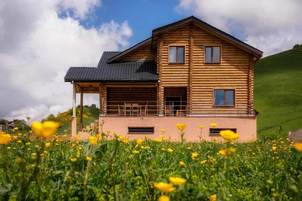 Snow Time Eco Chalet Gudauri Exterior photo